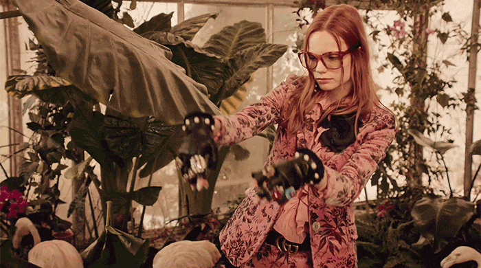 Фламинго шувуугаар дүүрэн Gucci-гийн шинэ сурталчилгаа Фламинго шувуугаар дүүрэн Gucci-гийн шинэ сурталчилгаа