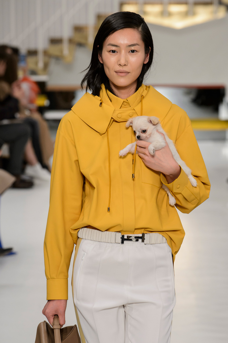 Tod’s-ийн загварын шоу дээр моделиуд гартаа нохой тэврэн гарч ирлээ (фото 1)