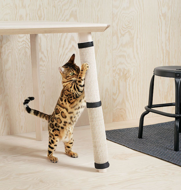 IKEA гэрийн тэжээвэр амьтдад зориулсан тавилгын цуглуулга гаргалаа (фото 9)