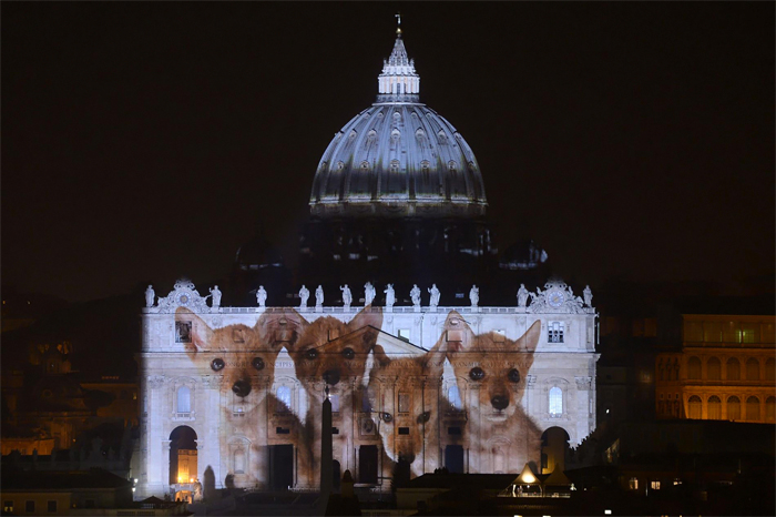 Ватикан ховордсон амьтдын төлөө санаа зовьж буйгаа илэрхийллээ (фото 4)
