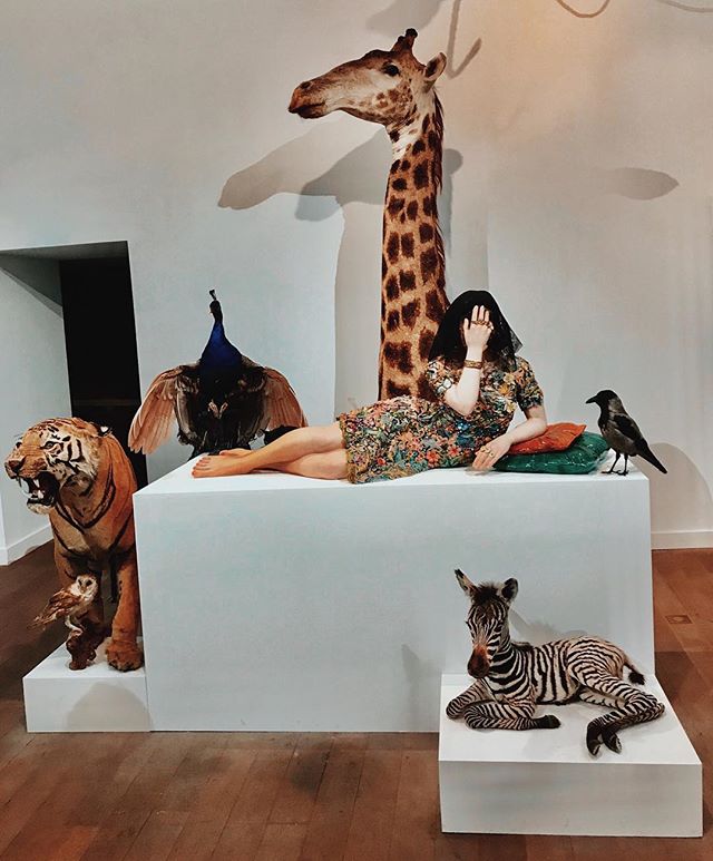 Paris  : Sophie Calle / Amazing exhibition at Musée de la Chasse until February 11th, I absolutely loved it!
NB: You need to read French to enjoy it fully
#SophieCalle #SerenaCarone @emmanuelperrotin @musee_chasse_nature