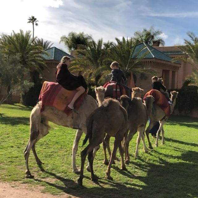 Между прочим езда верхом на верблюде тоже требует опыта  вождения   Camel's riding is not that much easy btw       