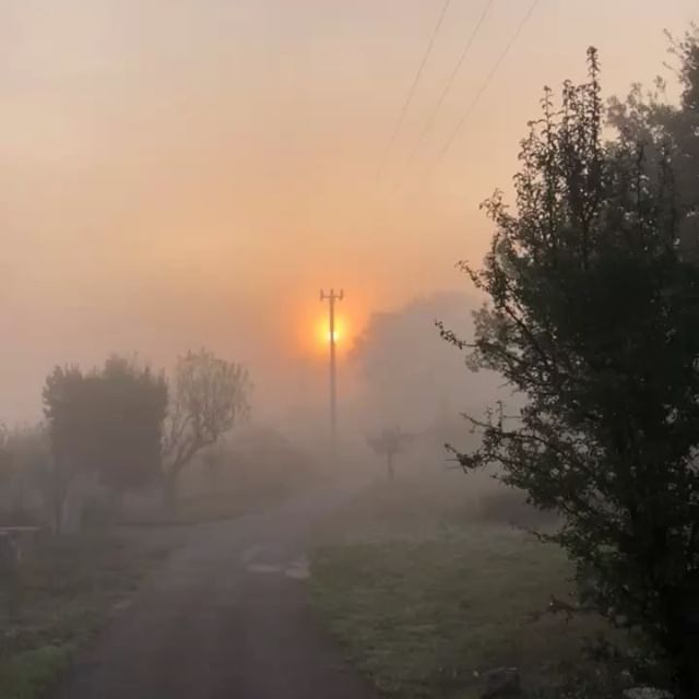 Foggy   day 7.30am