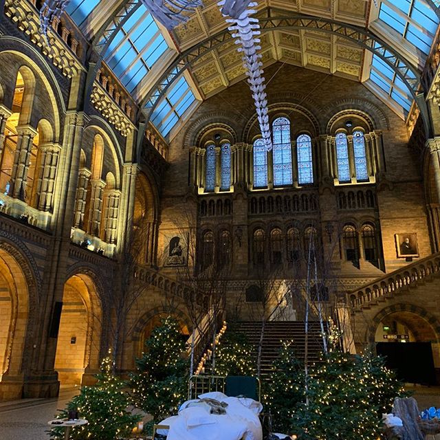 Had a whale of a time @natural_history_museum   it was over-whale-ming
