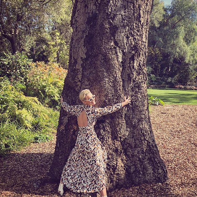 Friggin  tree-huggers. @katyperry    (Thanks for the fried chicken and margaritas, Barry and DVF)