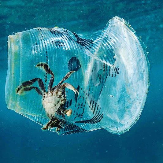 More EXCITING news on PLASTIC BAN: 560 lawmakers from the European parliament voted overwhelmingly to ban single-use plastic items by 2021, in a bid to tackle marine litter and encourage sustainable alternatives. Additionally European Union member countries will also have to achieve a 90% collection target for plastic bottles by 2029.
 
According to statistics more than 80% of marine litter is plastic and only less than 30% of the 25 million tonnes of plastic generated yearly by E.U. countries is recycled.