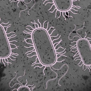 Instagram дахь шинжлэх ухаан: Микробиологи ба сансрын тухай сонирхолтой 7 хуудас Instagram дахь шинжлэх ухаан: Микробиологи ба сансрын тухай сонирхолтой 7 хуудас