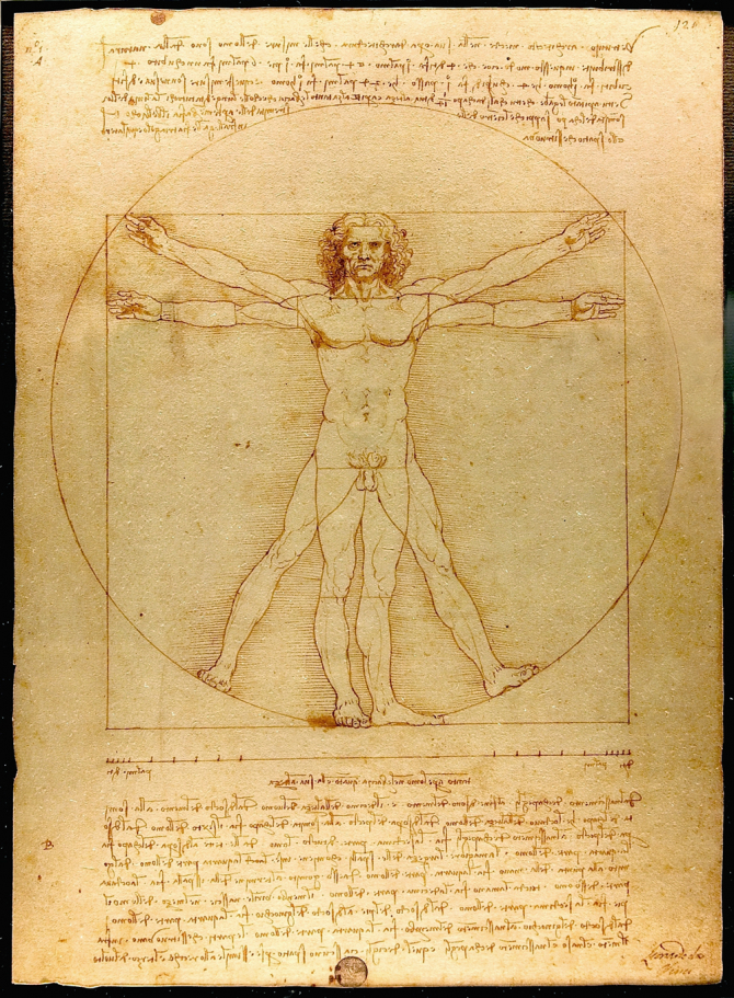 \"Vitruvian Man\", 1492, Accademia Gallery of Venice