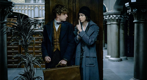 Cinema Fantastic Beasts And Where To Find Them