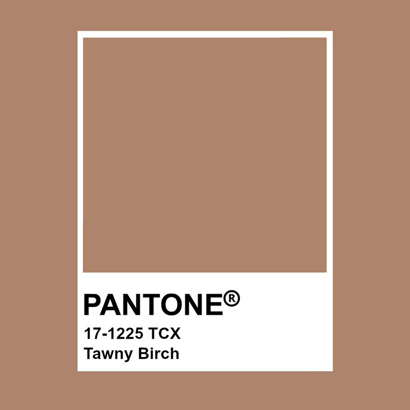 Pantone институтээс зарласан энэ намрын гол 5 өнгө (фото 5)