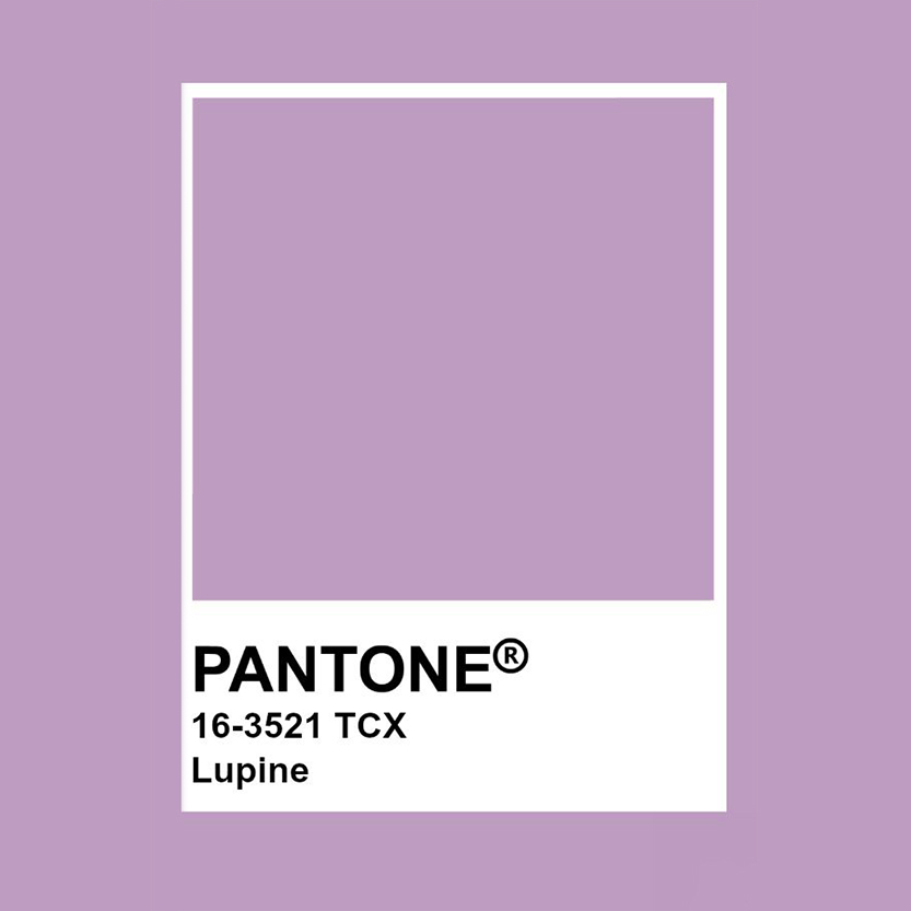 Pantone институтээс зарласан энэ намрын гол 5 өнгө (фото 3)