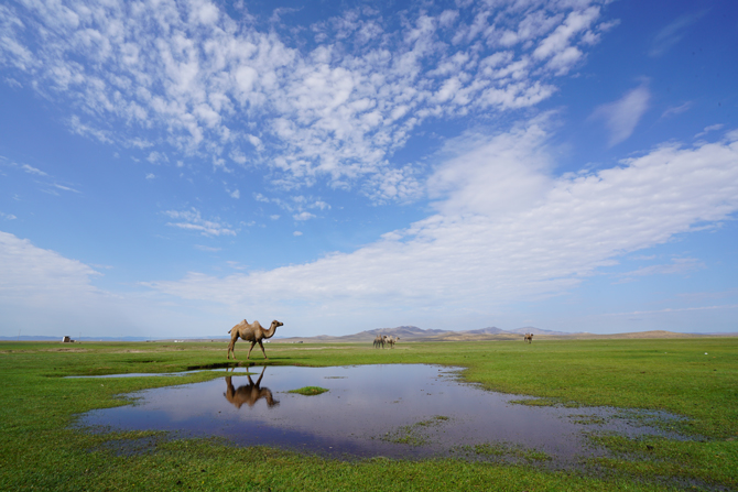Онцлох бүтээл: National Geographic-тай хамтарсан "Бидний Цөөхөн Монголчууд" ном (фото 7)