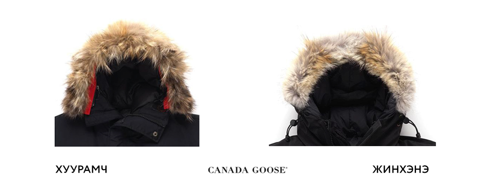 Canada Goose Монголд орж ирлээ: Хүн бүрийн дуртай, хамгийн дулаан куртка (фото 40)
