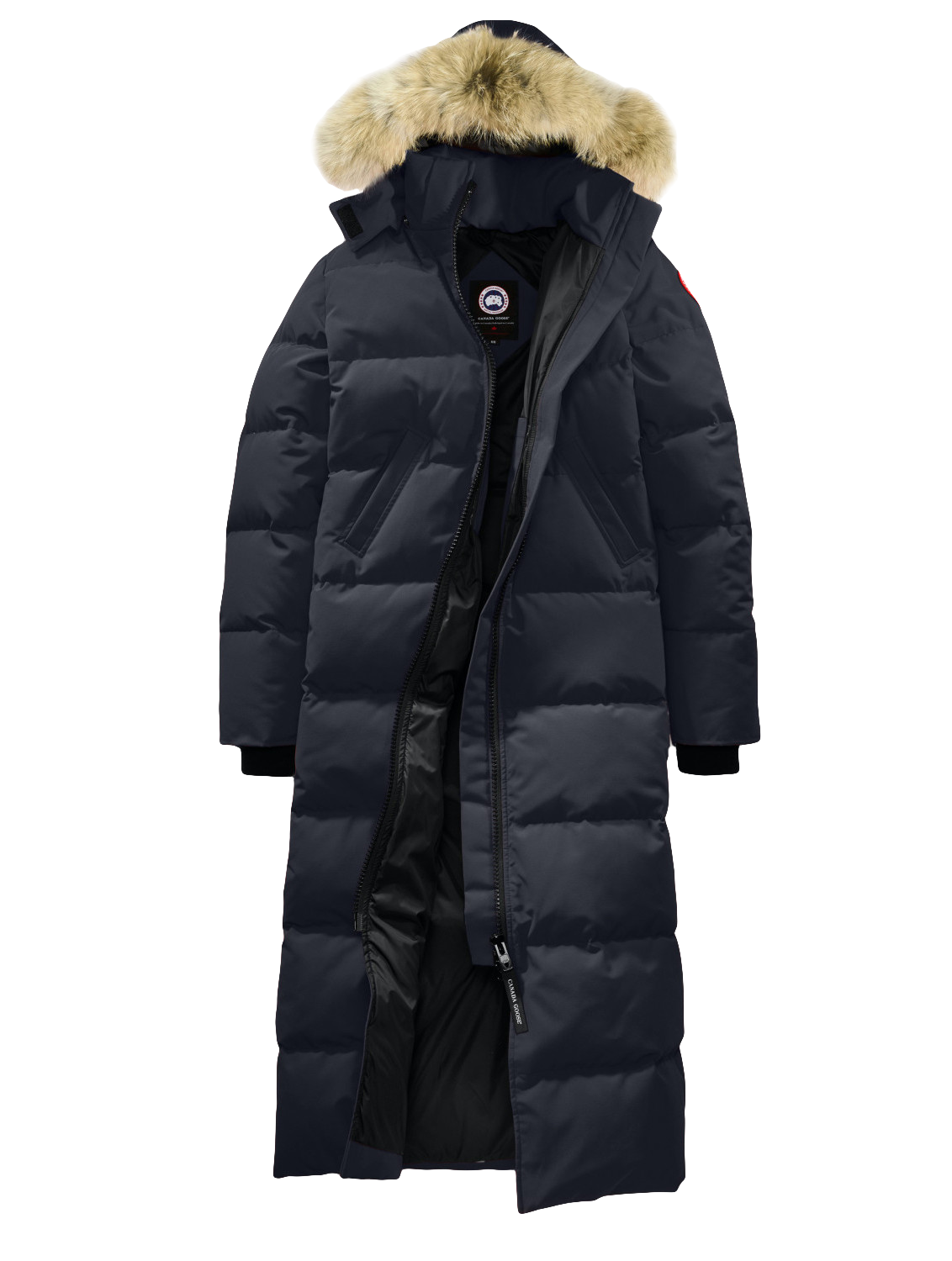 Canada Goose Монголд орж ирлээ: Хүн бүрийн дуртай, хамгийн дулаан куртка (фото 32)