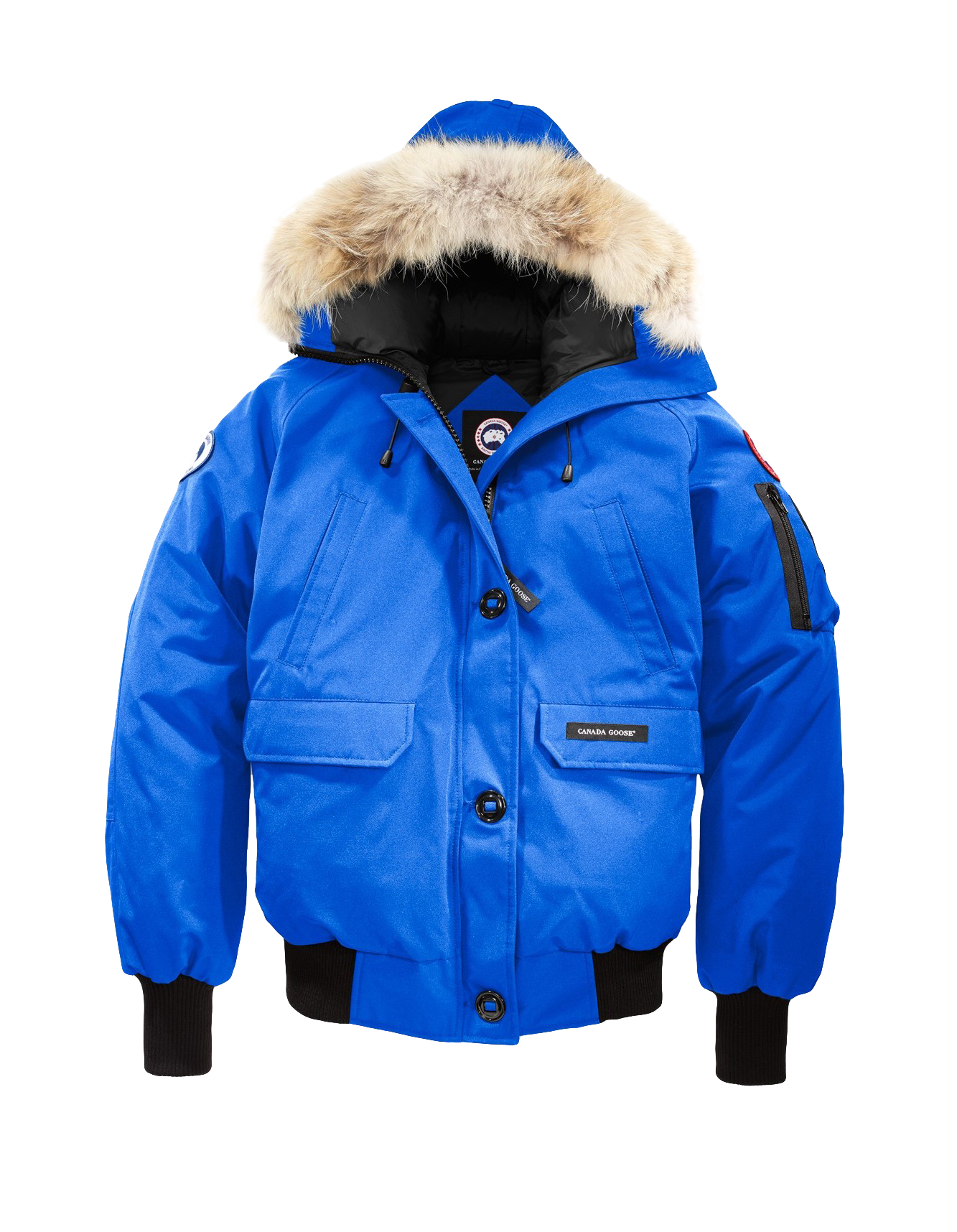 Canada Goose Монголд орж ирлээ: Хүн бүрийн дуртай, хамгийн дулаан куртка (фото 37)