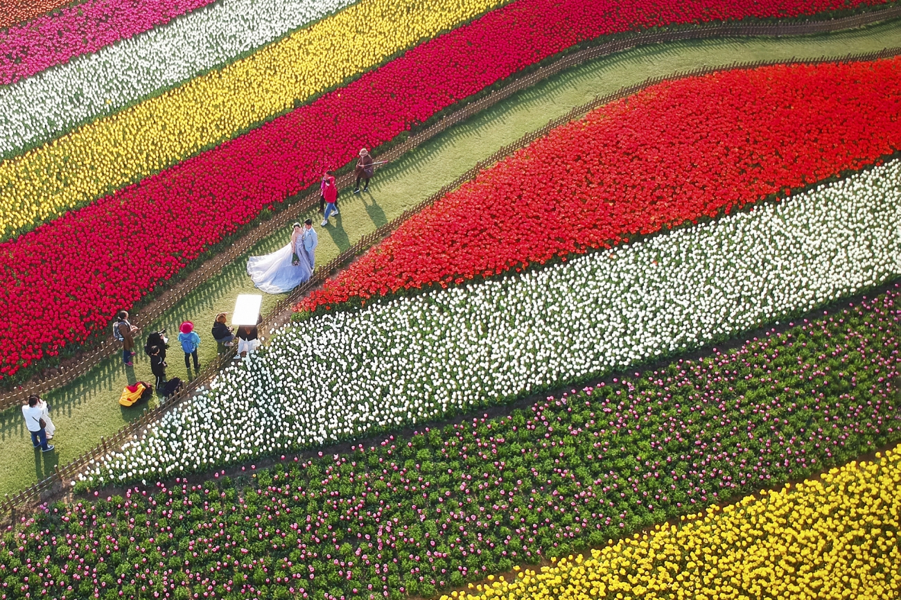 Drone Photo Awards 2021: Дроноор дарсан шилдэг гэрэл зургууд (фото 15)