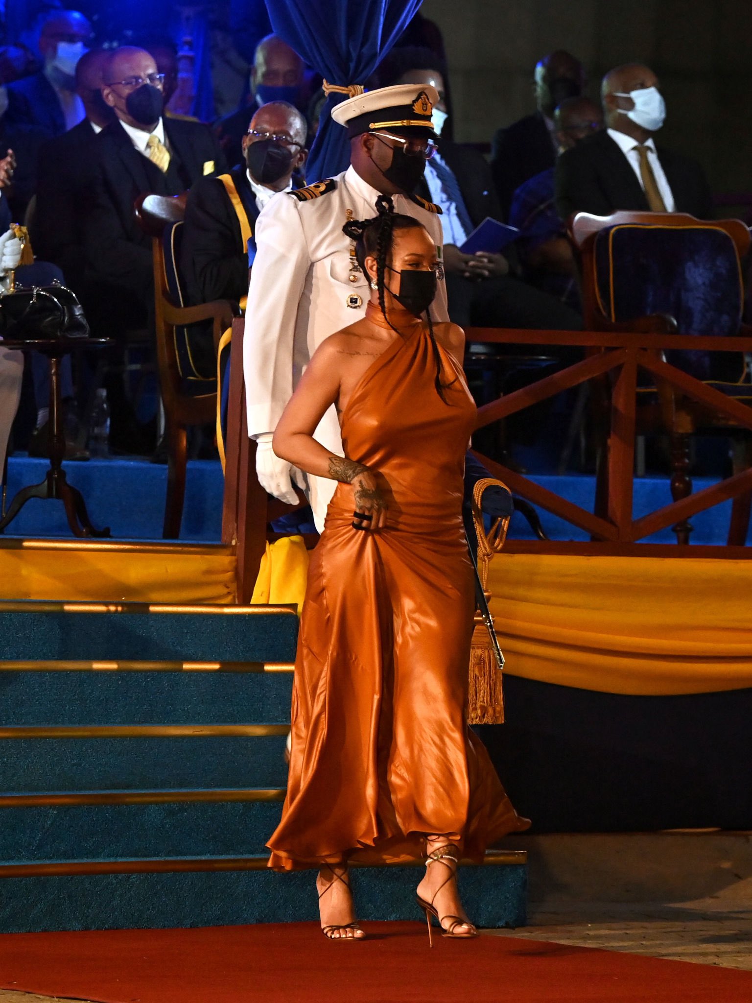 Рианна Барбадосын үндэсний баатраар өргөмжлөгдлөө (фото 1)
