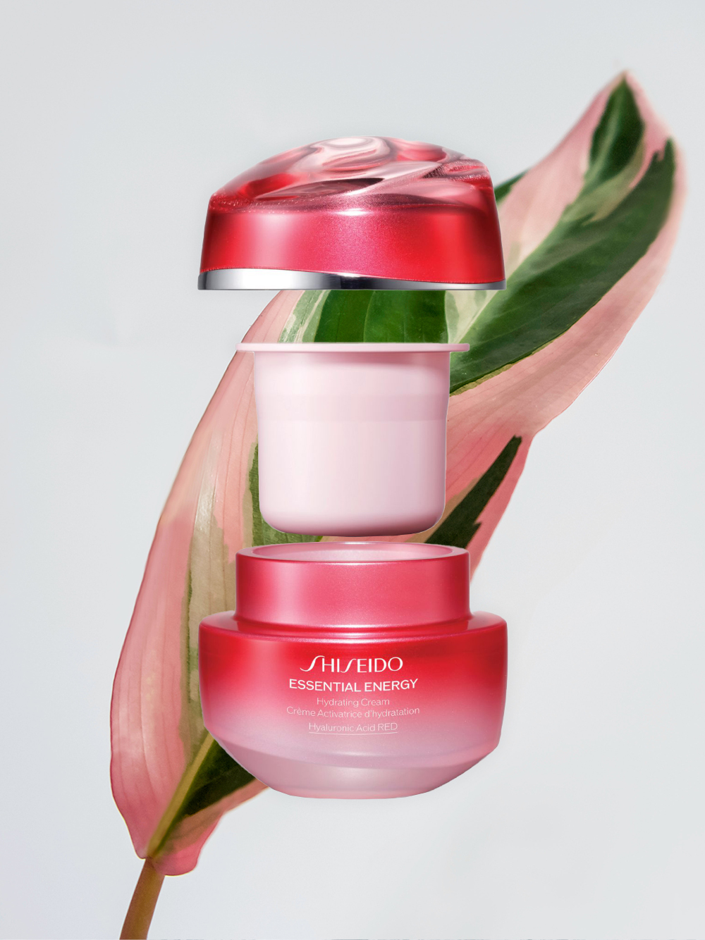 Shiseido-ийн хүн орхоодойн үндэс, гиалуроны хүчил агуулсан “Essential Energy” цуврал шинэчлэгдлээ (фото 6)