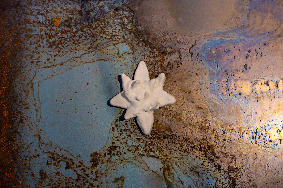 Хүн ба байгалийн холбоо “Ургах Уй” керамик баримлын үзэсгэлэнд (фото 6)