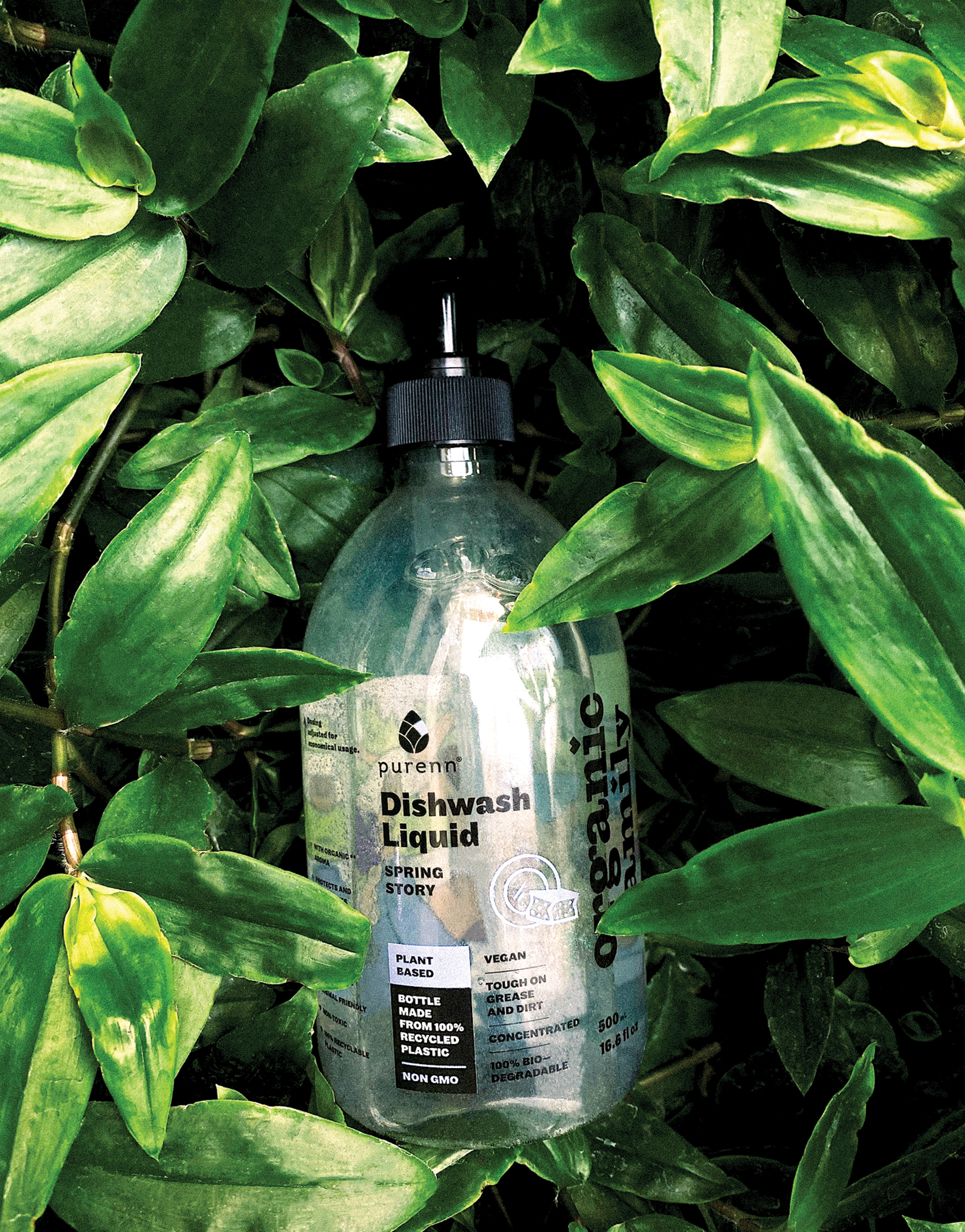 Эрүүл мэндэд сөрөг нөлөөгүй цэвэрлэгээний бүтээгдэхүүн санал болгодог Purenn брэнд (фото 6)