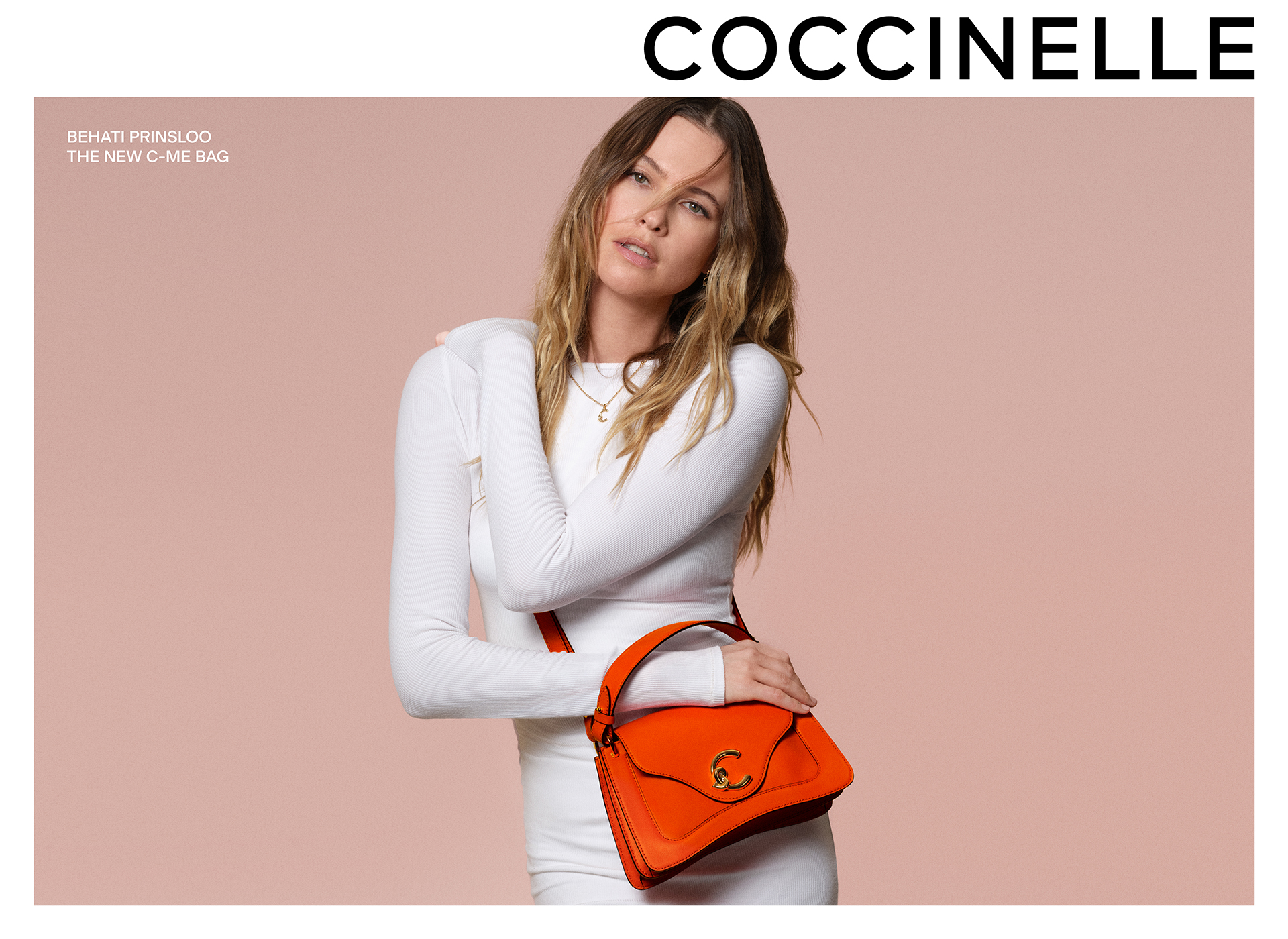 Амьдралд хайртай эмэгтэйчүүдийн сонголт, Coccinelle (фото 3)