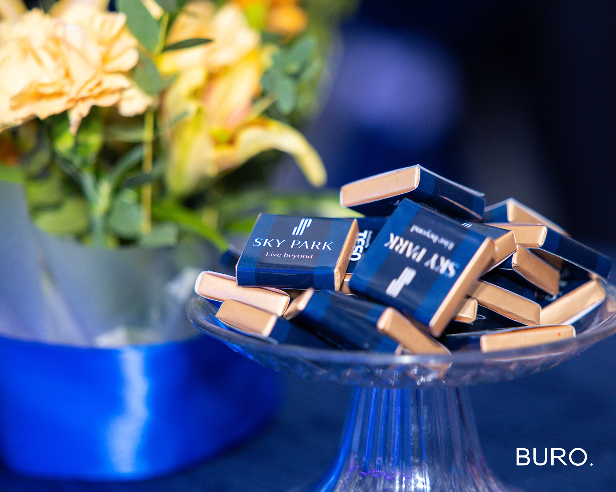 Тэсо Пропертис групп ээлжит бүтээн байгуулалт болох Sky Park төслөө танилцууллаа (фото 4)