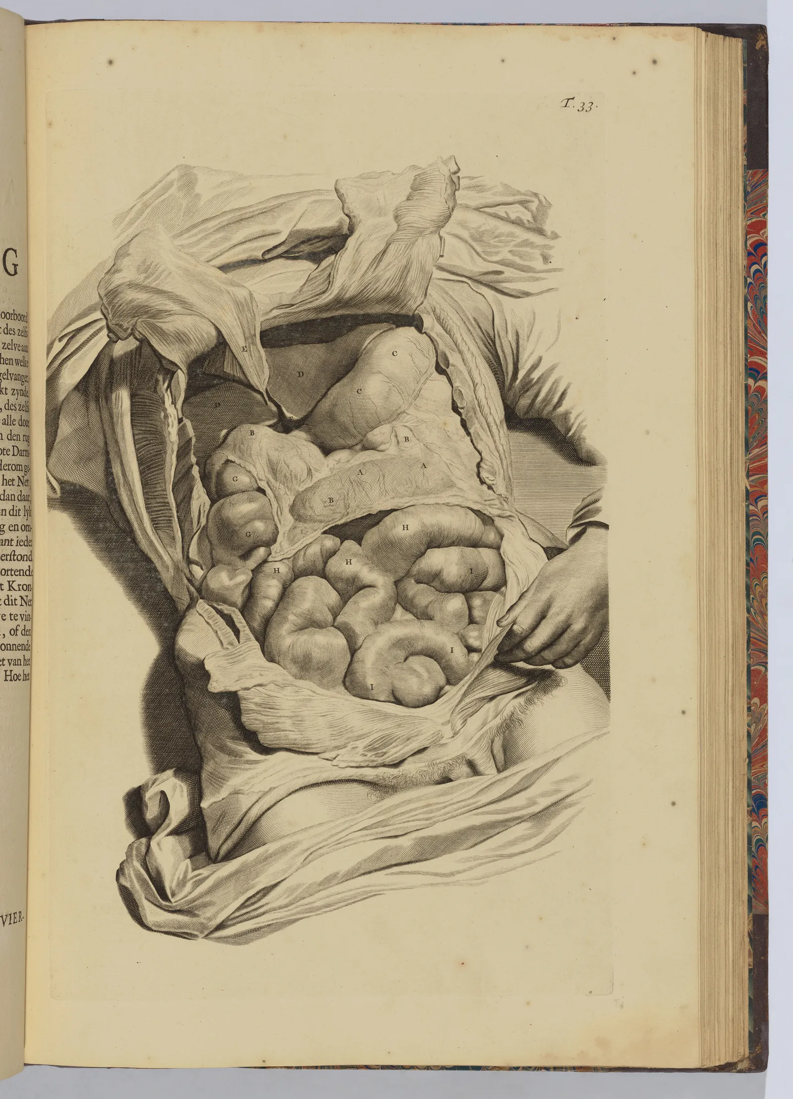 2026 оны Met Gala-гийн сэдэв зарлагдлаа (фото 8)