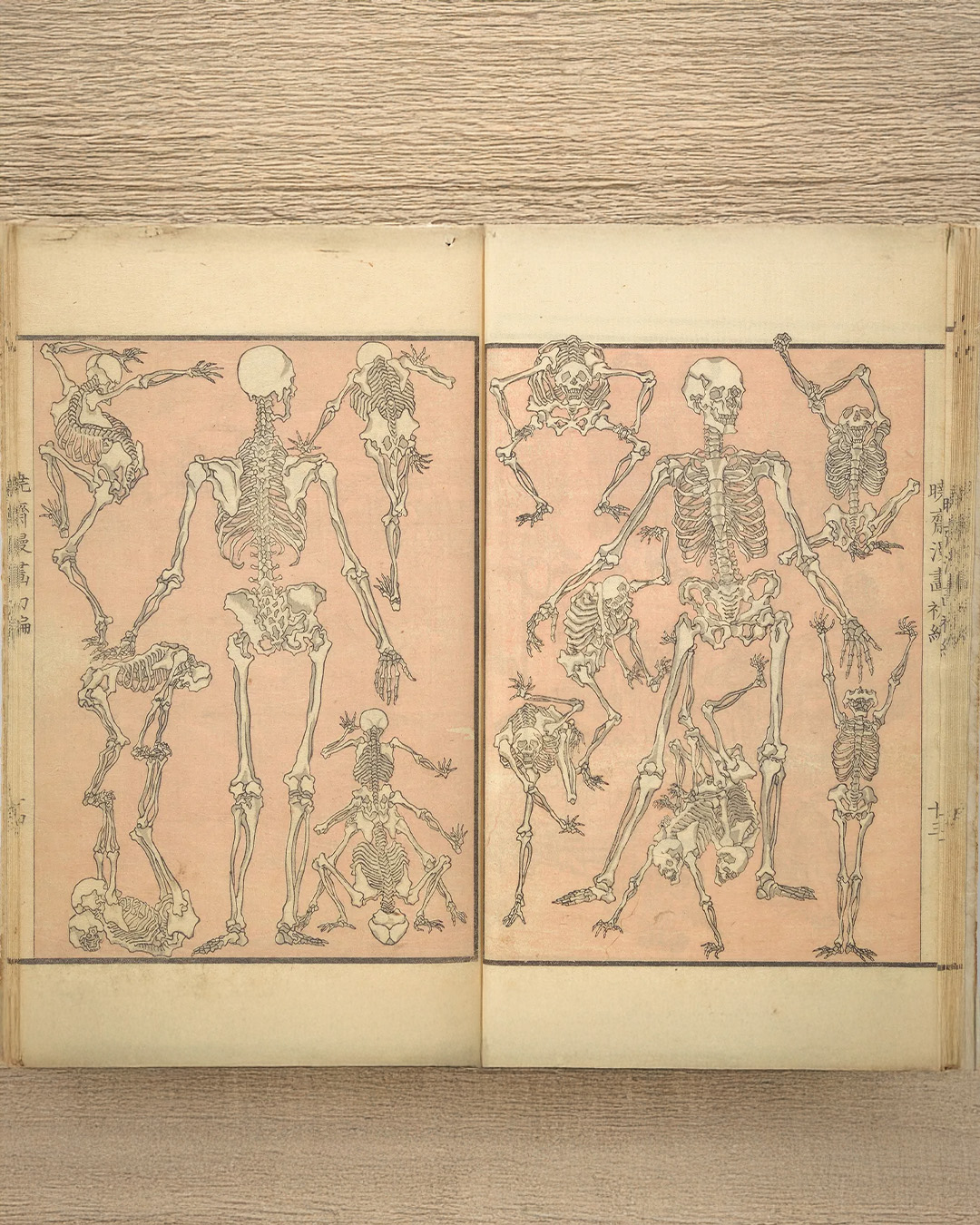 2026 оны Met Gala-гийн сэдэв зарлагдлаа (фото 4)