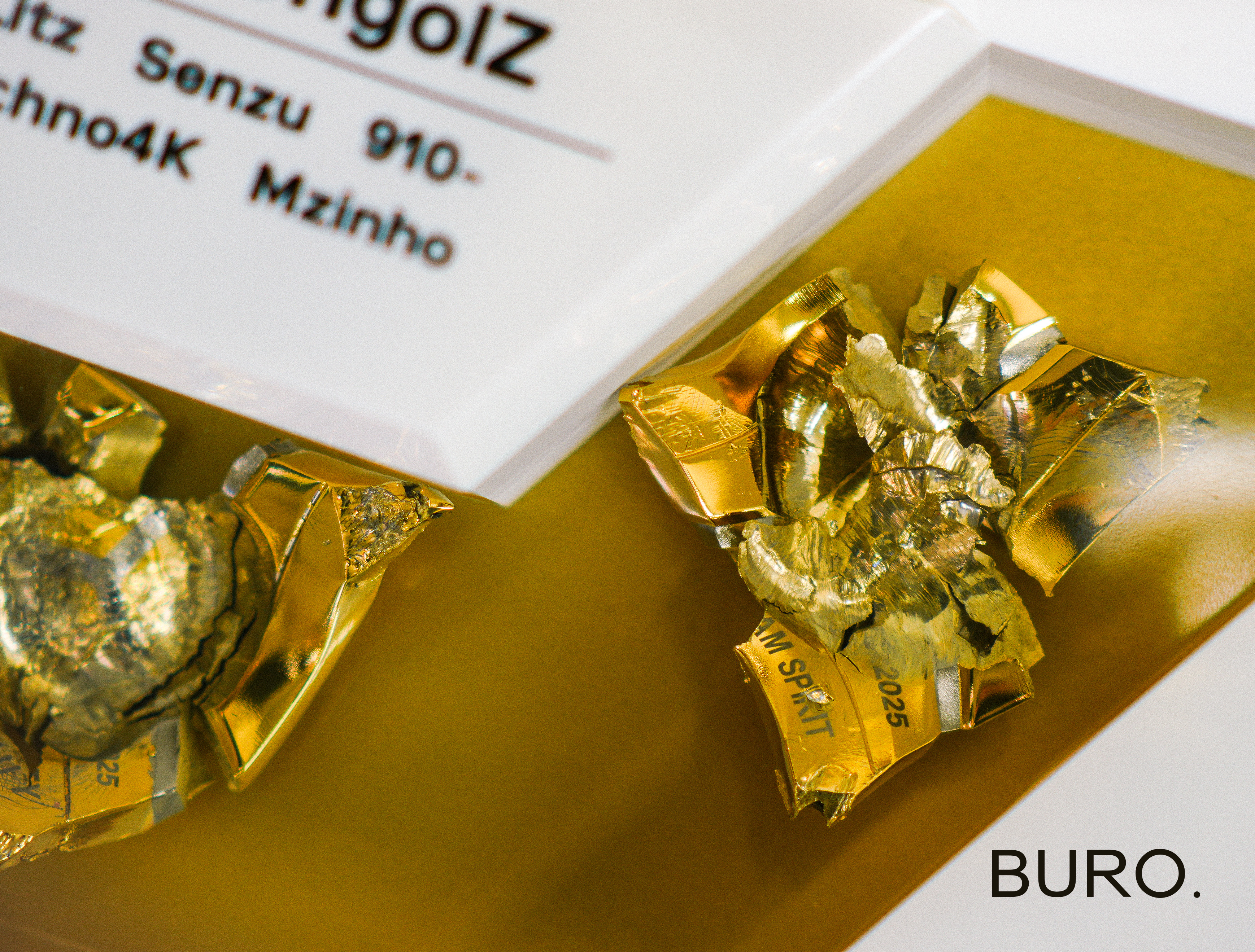 Exclusive: The MongolZ багийн Esports World Cup 2025 аваргын цом Монголд ирлээ (фото 5)