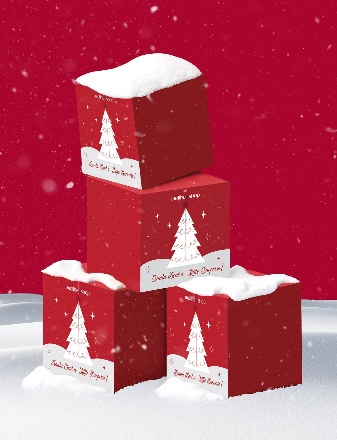 Wellbeeshop шинэ жилийн бэлгийн багцуудаа танилцуулж байна (фото 2)