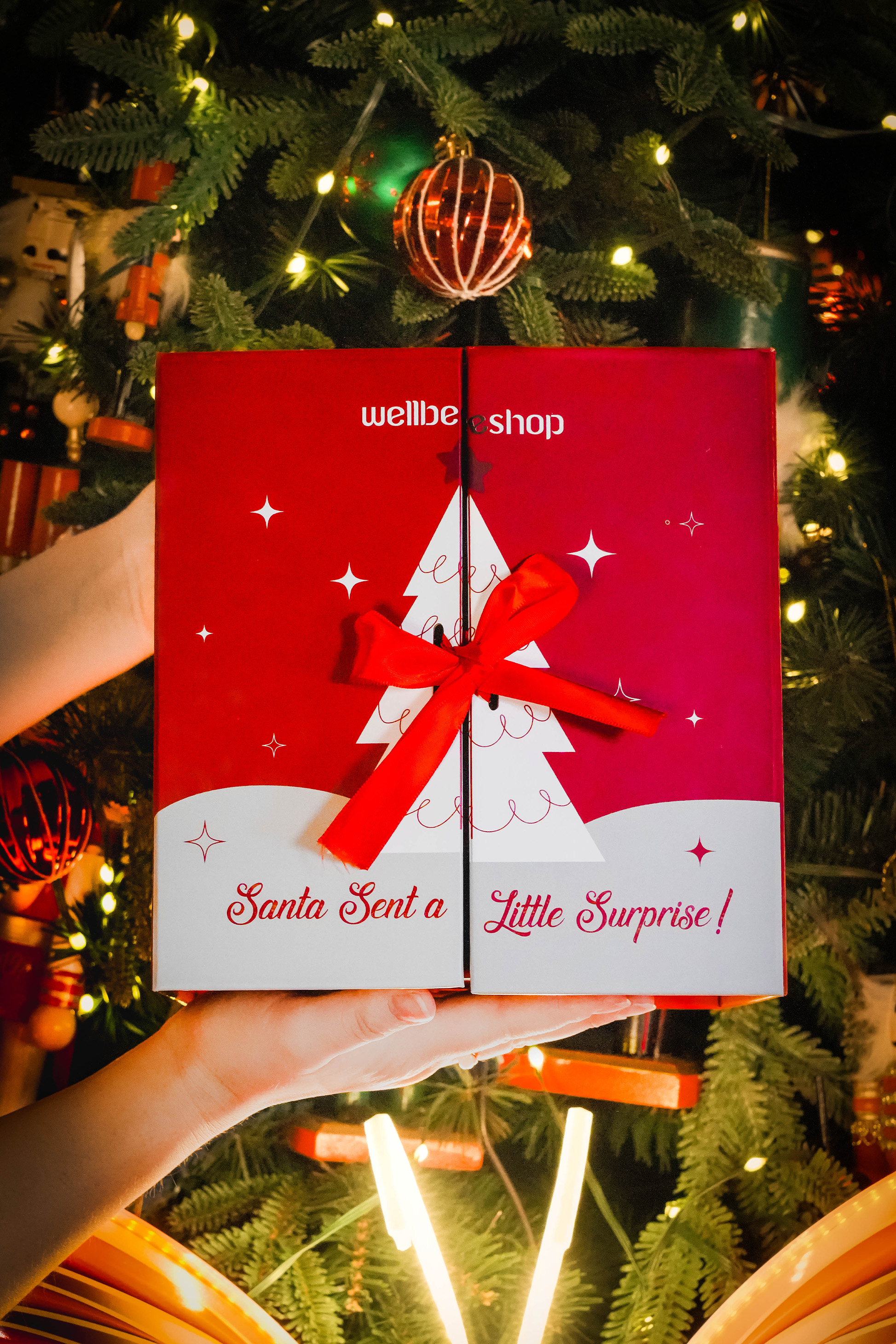 Wellbeeshop шинэ жилийн бэлгийн багцуудаа танилцуулж байна (фото 6)