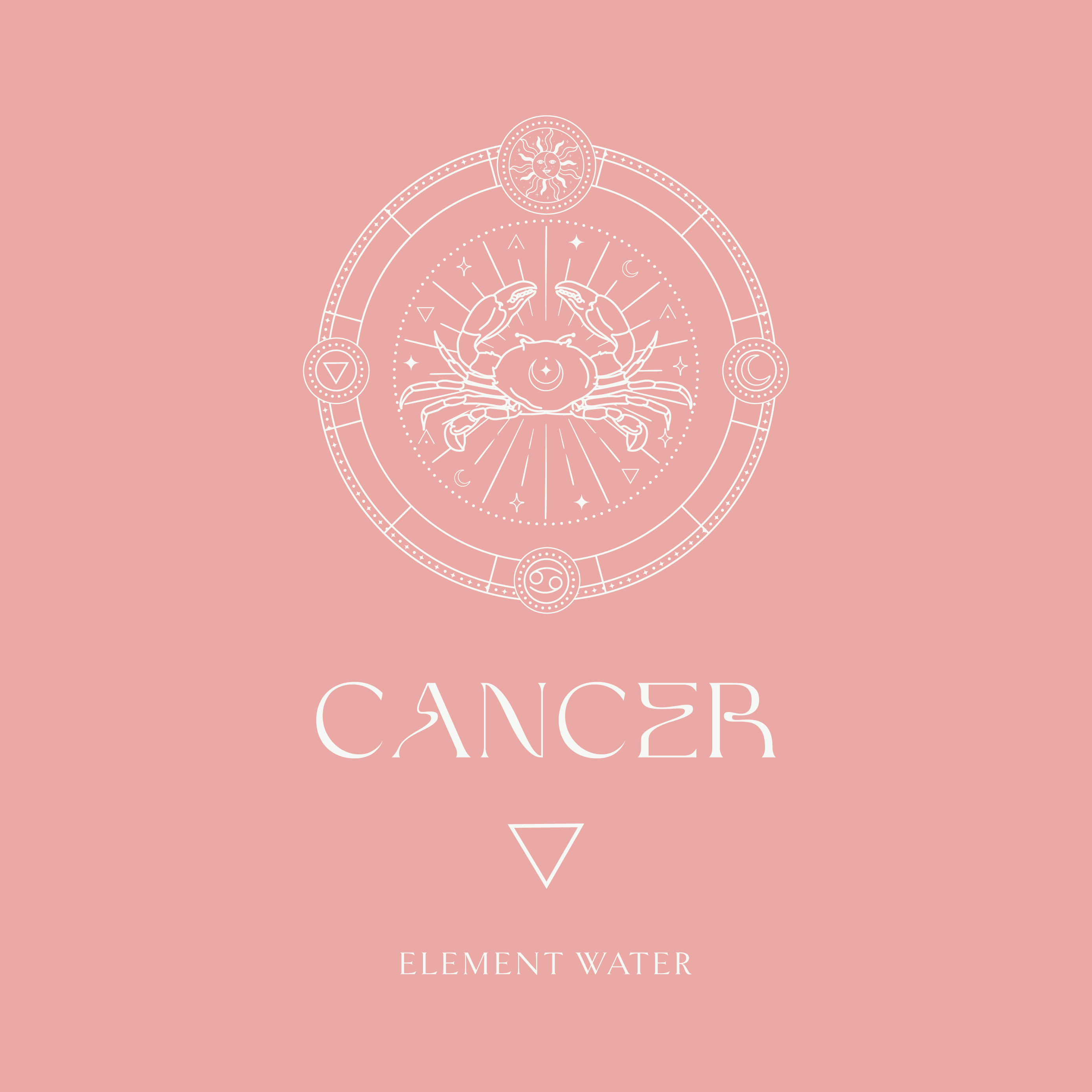 2026 он таныг хааш нь хөтлөх вэ: 12 ордын ерөнхий зурхай (фото 4)