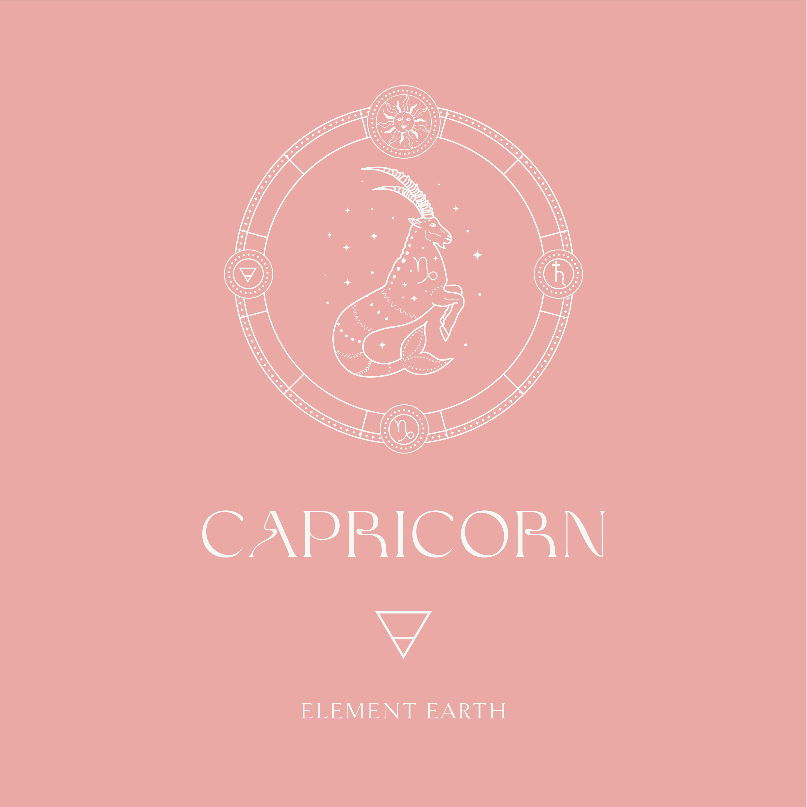 2026 он таныг хааш нь хөтлөх вэ: 12 ордын ерөнхий зурхай (фото 10)