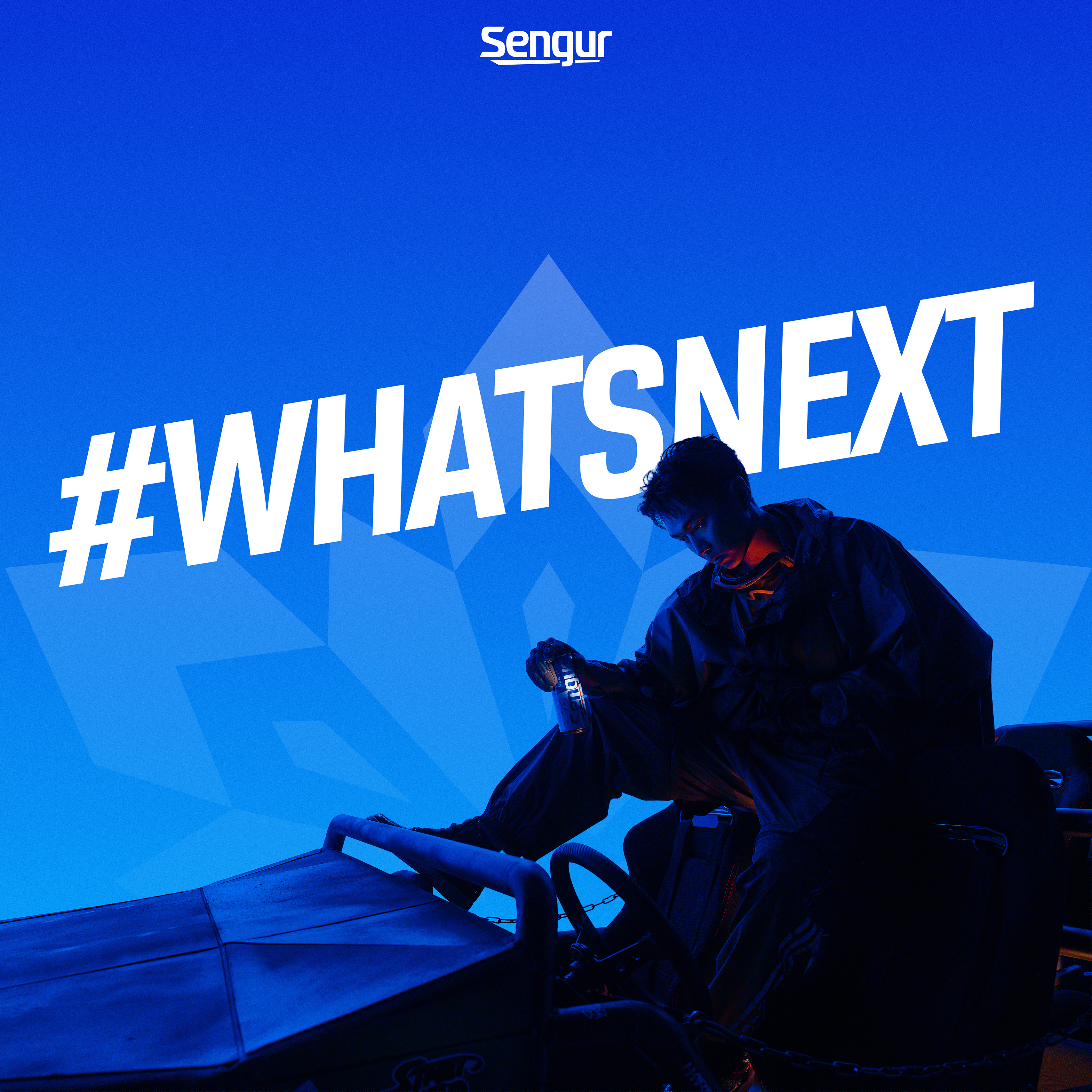 Sengur брэндийн сурталчилгаа дэлхийд танигдлаа (фото 4)