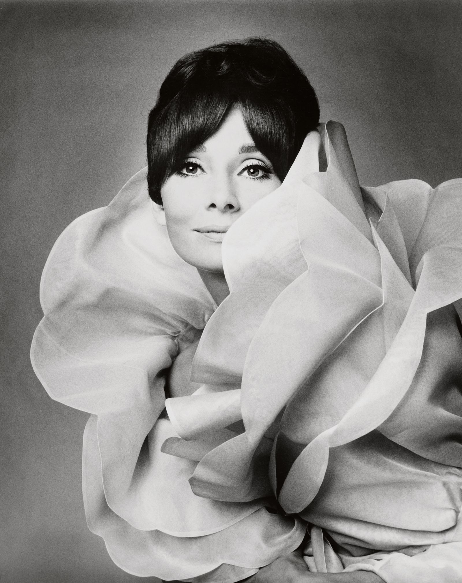 Валентино Гаравани гэж хэн бэ? Түүний хувцас загварт оруулсан хувь нэмэр (фото 15)