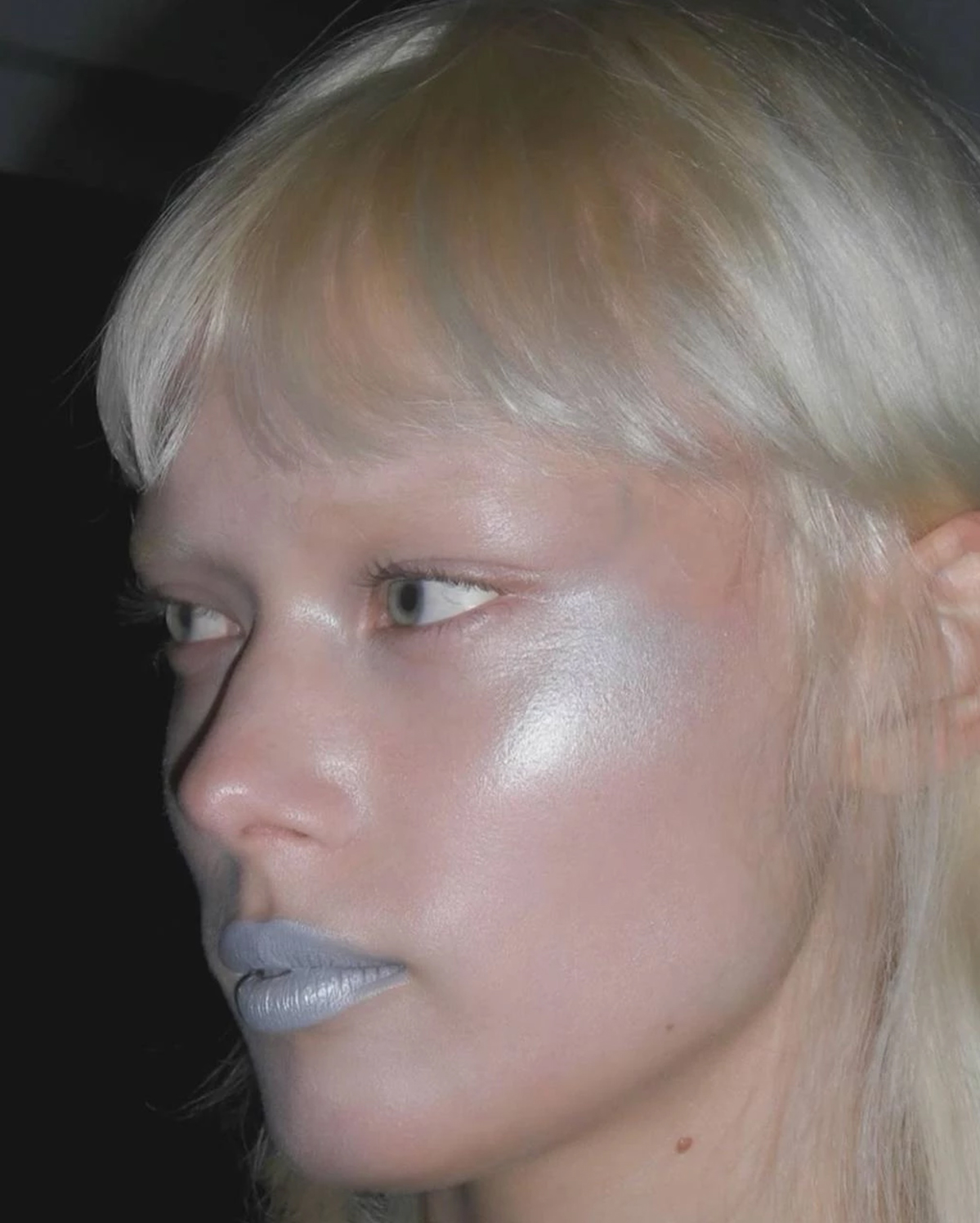 Frosted Makeup буюу мөсөн будалтын шинэ тренд (фото 10)