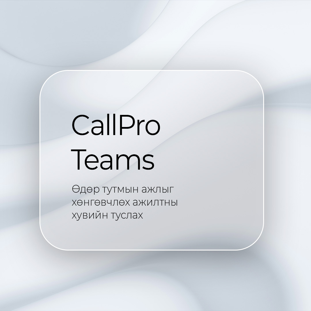 Байгууллагын шинэ дижитал ажилтанг CallPro танд санал болгож байна (фото 7)