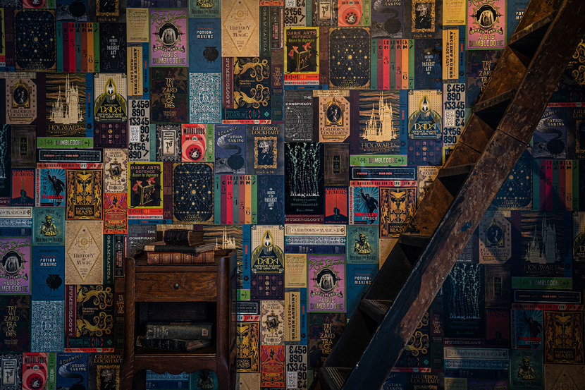 Мөрөөдлийн зүйл: Харри Поттерын ертөнцөөс сэдэвлэсэн ханын цаас (фото 4)