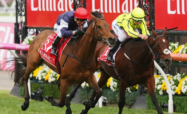 Emirates Melbourne Cup морины уралдаан болж өнгөрлөө (фото 1)