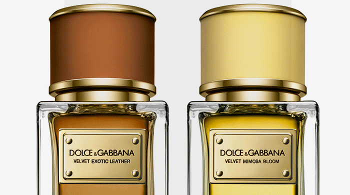 Dolce & Gabbana-гийн шинэ сүрчиг: Mimosa Bloom ба Exotic Leather