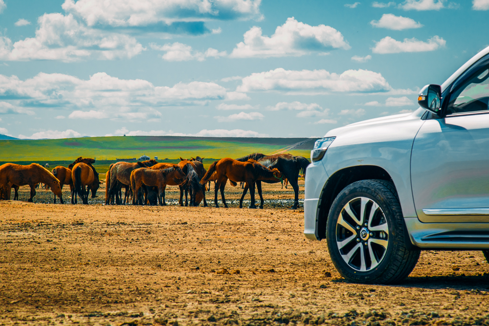 Бартаат замыг саадгүй туулж, их хотын амьдралд төгс нийцэх Toyota Land Cruiser 200 Urban Style (фото 2)