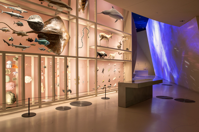 Архитектурын гайхамшиг: Жан Нувелийн ээлжит төсөл Катарын Үндэсний Музей (фото 6)