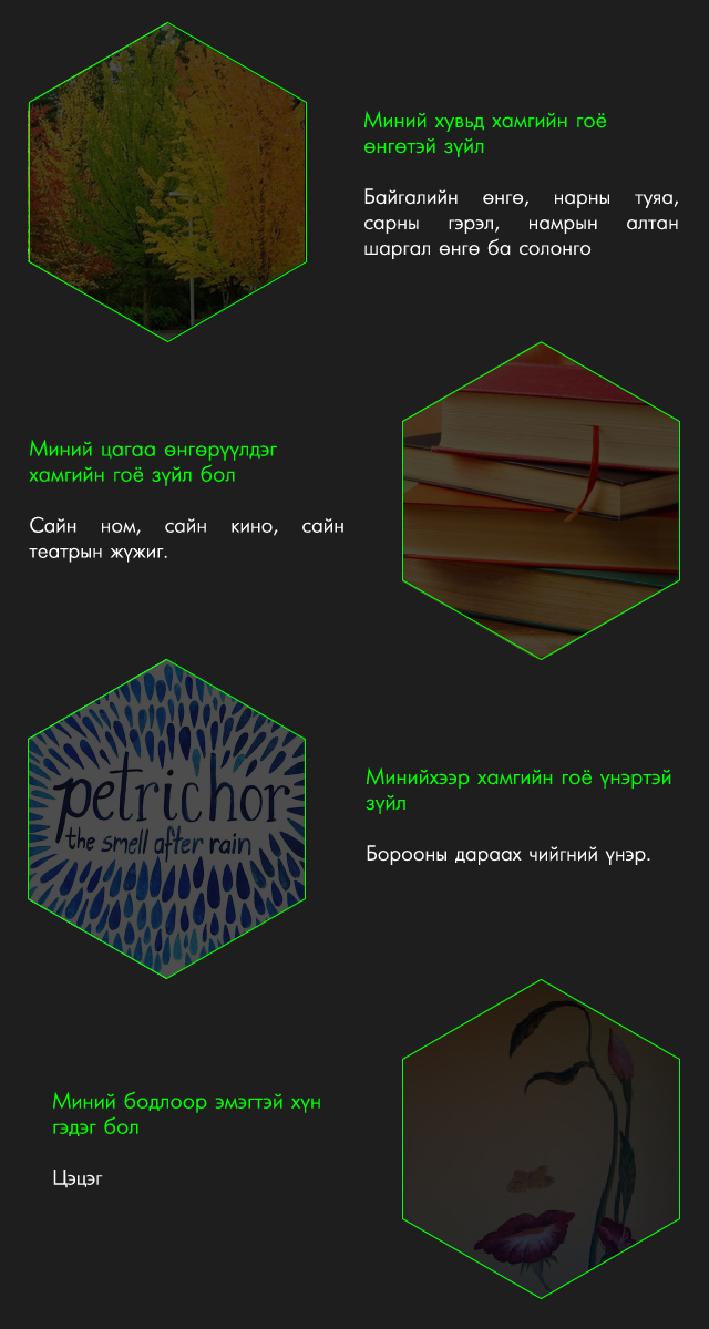 Бюрогийн найзууд: Жүжигчин Цэдоогийн дотоод үзэсгэлэн (фото 3)