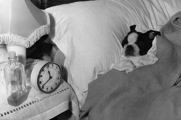 Нойрны дэглэм буюу орондоо хэвтэх зуураа хэрхэн жин хасах вэ? (фото 1)