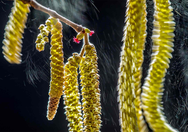 Wildlife Photographer of the Year 2016 гэрэл зургийн уралдааны ялагчид тодорлоо (фото 7)