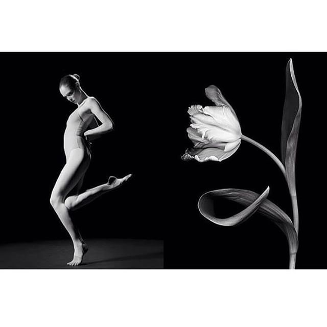 One of my favorite tumblr accounts is @whereiseefashion -  they really get deep on the subject of beauty and inspiration in art and fashion. I just saw that they did I post on my book, #StudyOfPose, which is literally 1000 images/poses that took inspiration from every aspect of life and culture, yes even horticulture! Check out the app version of the book by clicking the link in my bio. #wisf