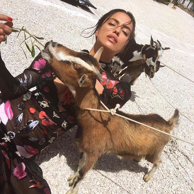 #Repost @irinashayk with @repostapp.
   
#Lunchbreak    @voguejapan       