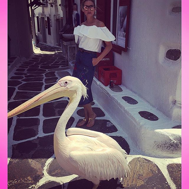     @privategg  @charleneshorto @carlossouza1311  We got a real birds eye   view on our shopping   excursion  #shoppingguide