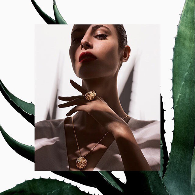 Эрх чөлөөтэй бүсгүй: Cactus de Cartier үнэт эдлэлийн цуглуулга.

The new Cactus de Cartier collection.

#cactusdecartier #cartier #accessories