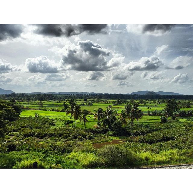   Beautiful holidays in Sri Lanka!